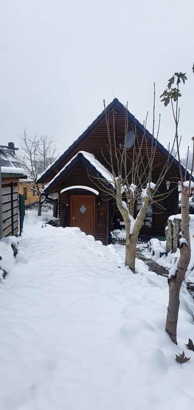 Ferienhaus-Wurzbach Exterior photo